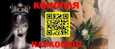 прущие грибы Кингисепп