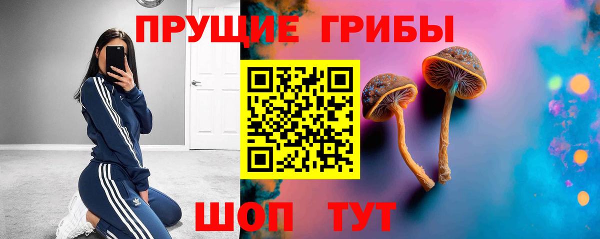 Киров  Псилоцибиновые грибы мицелий  Псилоцибиновые грибы прущие грибы  Вход с VPN 